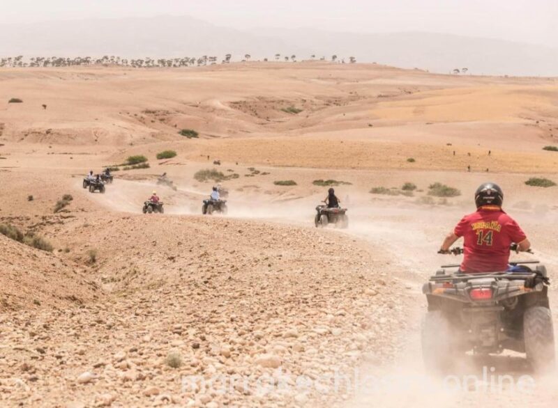 Adventure Quad Bike In Marrakech Palmeraie. - Scenic Photography