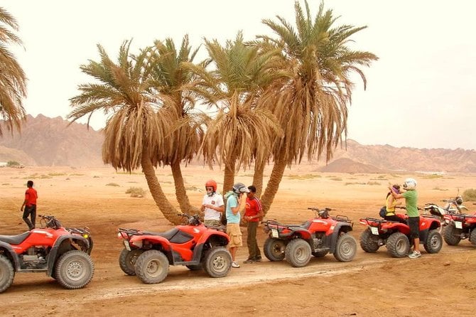 Adventure Quad Biking Tour in Dahab - Accessibility and Participation
