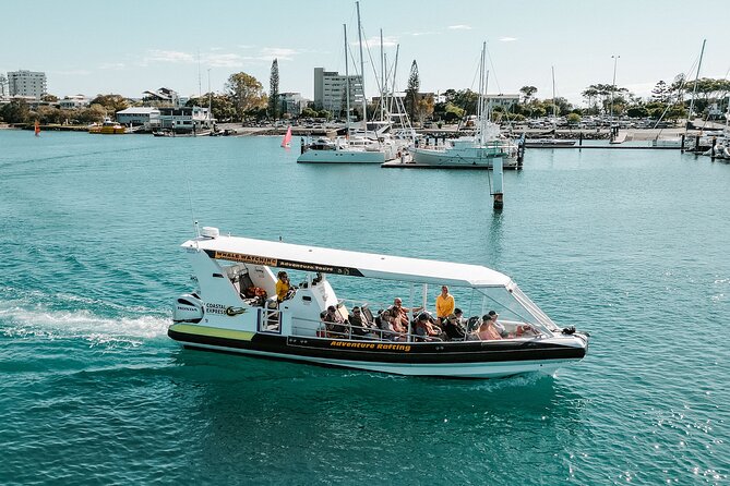 Adventure Rafting - Mooloolaba Turtle Tour - Meeting and Departure Details