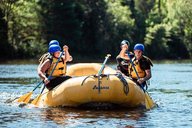Adventure Rafting on the Madawaska River - Activity Details