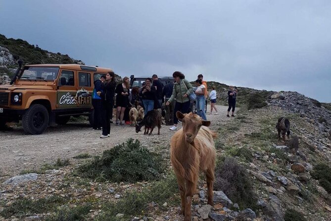 Adventure Safari Tour Secrets of the Southern Crete - Inclusions and Transportation
