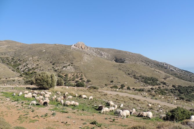 Adventure Safari Tour Secrets of the Southern Crete - Exploring Traditional Villages