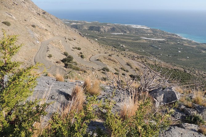 Adventure Safari Tour Secrets of the Southern Crete - Spotting Griffon Vultures