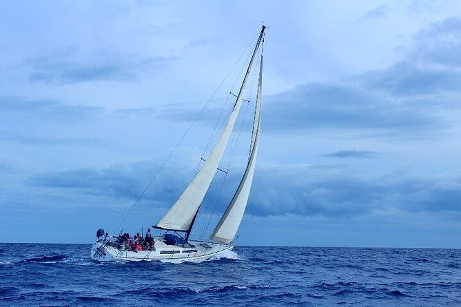Adventure Sail From Lahaina Harbor - Key Points