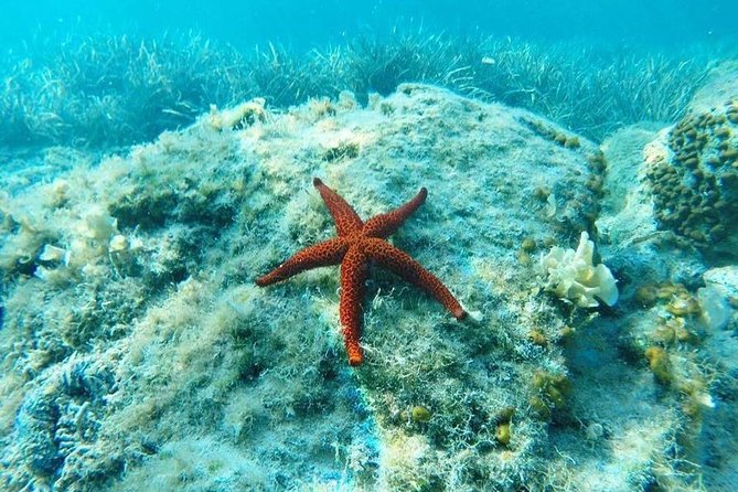 Adventure Sailing 3-Night Trip From Dubrovnik on the Huck Finn Catamaran - Transportation and Accommodations