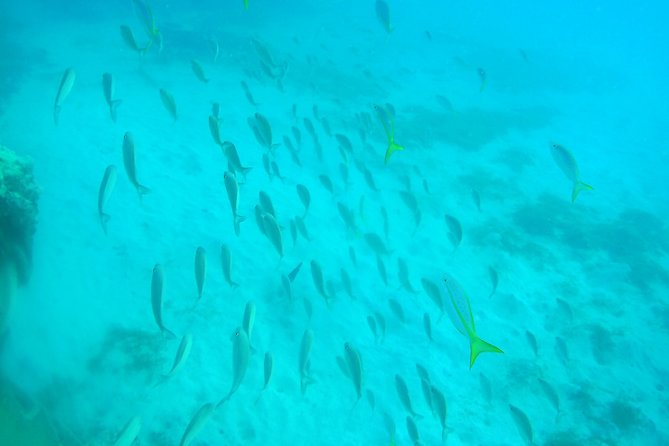 Adventure SNUBA in St. Maarten - Group Size and Accessibility