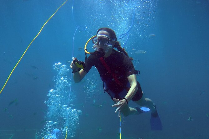 Adventure SNUBA in St. Maarten - Pricing and Cancellation