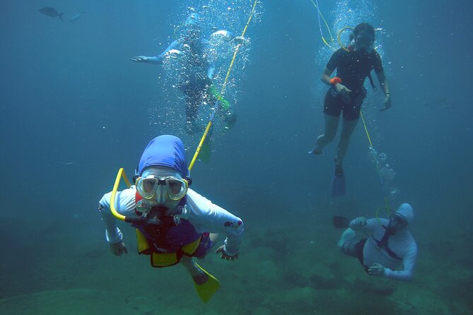 Adventure SNUBA in St. Maarten - Company Response to Concerns