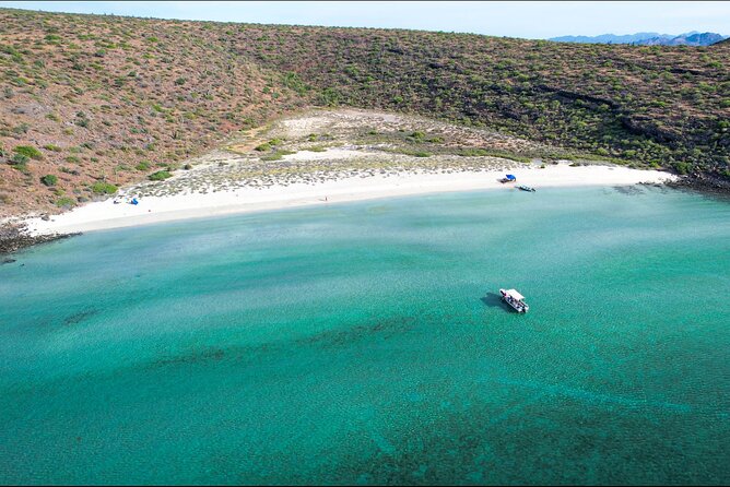 Adventure to Espiritu Santo Island: Snorkel With Sea Lions and Beach - Marine Biologist Guide