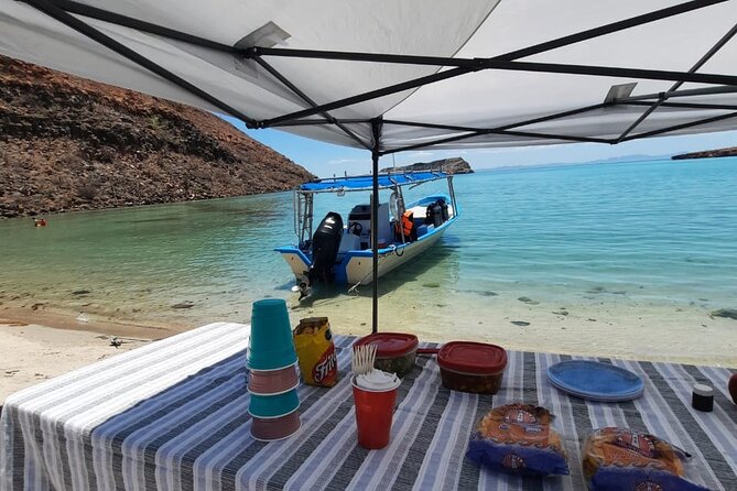 Adventure to Espiritu Santo Island: Snorkel With Sea Lions and Beach - Important Considerations