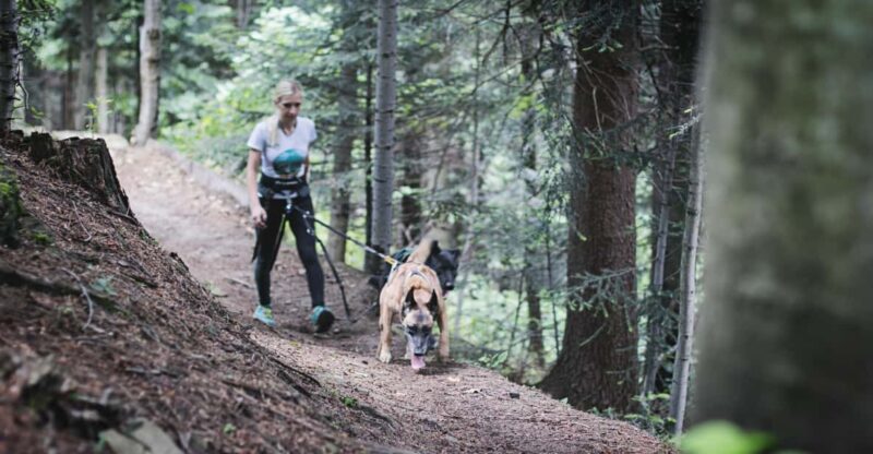 Adventure Tours With Dogs in Beskid Wyspowy - Hike - Key Points