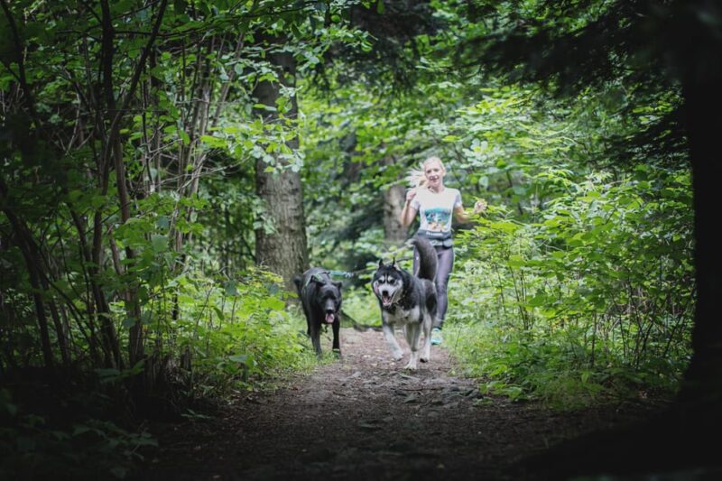 Adventure Tours With Dogs in Beskid Wyspowy - Hike - Unique Bonding Experience