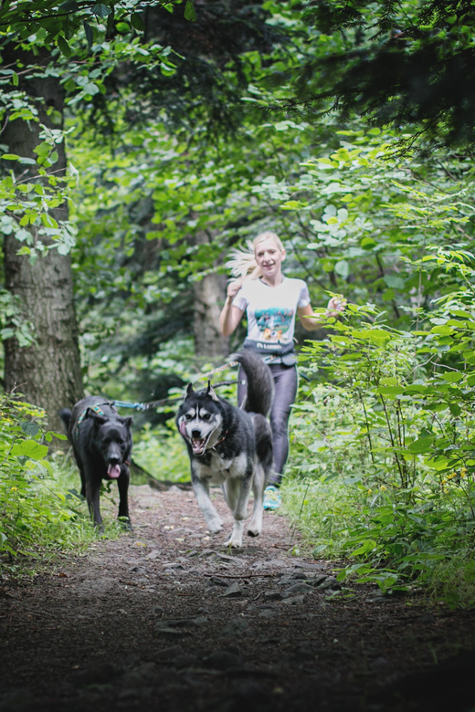 Adventure Tours With Dogs in Beskid Wyspowy - Hike - Explore Beskid Wyspowy Trails