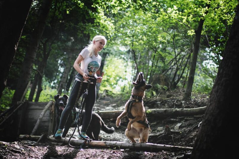 Adventure Tours With Dogs in Beskid Wyspowy - Hike - Physical and Mental Benefits