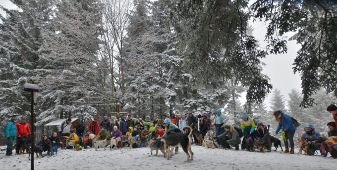 Adventure Tours With Dogs in Beskid Wyspowy - Hike - Booking and Contact Details