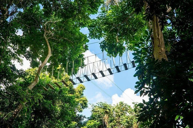 Adventure Trail Tour in the foothills of the National Rainforest - Authentic Traveler Feedback
