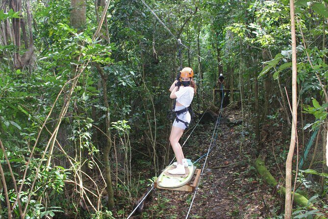 Adventure Trail Tour in the foothills of the National Rainforest - Practical Details and Tips