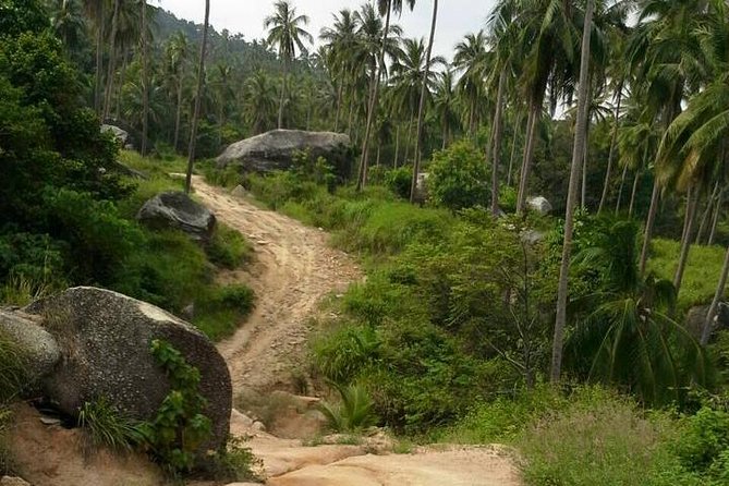 Adventure Trip in Koh Phangan - Hidden Beaches and Viewpoints