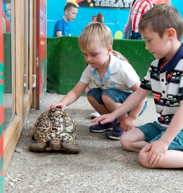 Adventure Valley - Summertime Fun - Upcoming Events and Promotions
