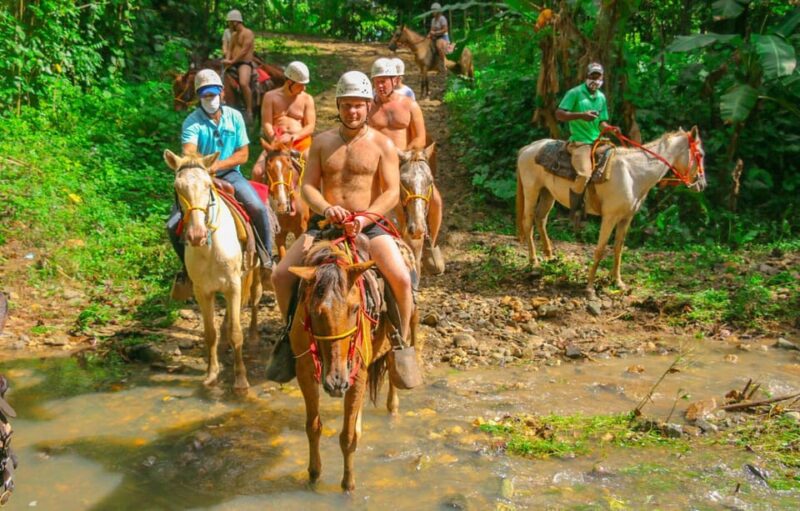 Adventures Combo: Ziplining, Jungle Buggies and Horse Riding - Included Services