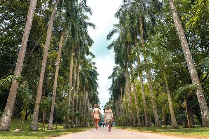 Adventures of the Last Kingdom of Sri Lanka - Cultural Experiences and Activities