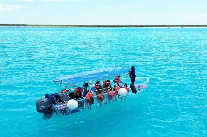 Adventures of the Lost Atlantis Bimini Road - An In-Depth Look at the Bimini Clear Boat Tour