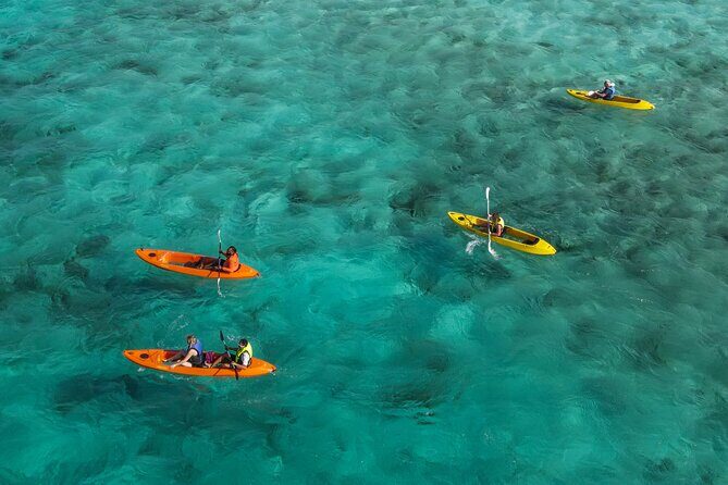 Adventurous Clear Kayak And Snorkeling Tour At Mangel Halto - The Itinerary: What to Expect