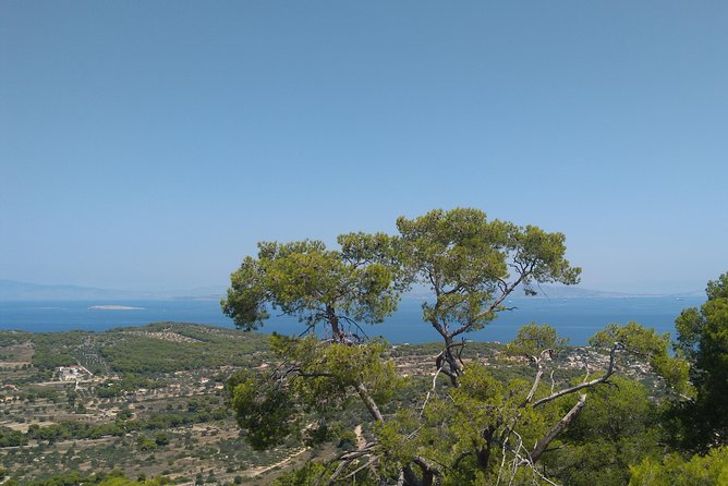 Aegina Island St Nektarios & Temple of Athina Aphaia Private Tour - Temple of Aphaia