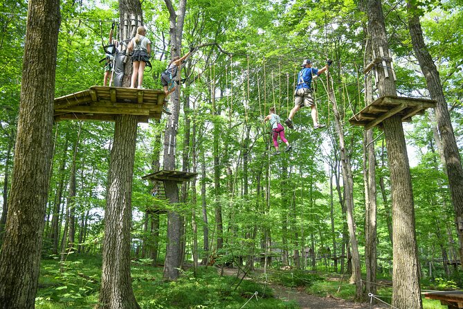 Aerial Adventure Park Admission - Park Amenities and Activities