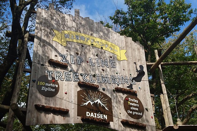 Aerial Athletics (Zipline Adventure) - Activity Details and Inclusions