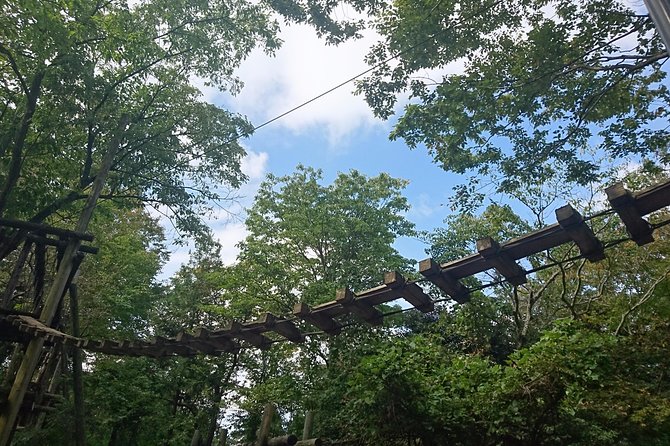 Aerial Athletics (Zipline Adventure) - Frequently Asked Questions