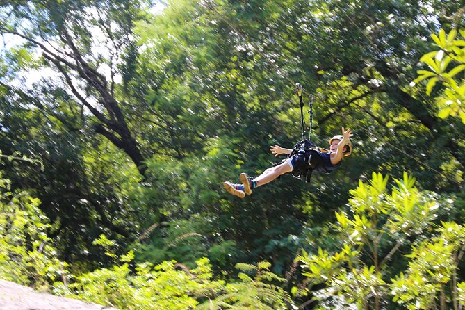 Aerial Cable Trail in Hazyview - Activities Included in the Experience