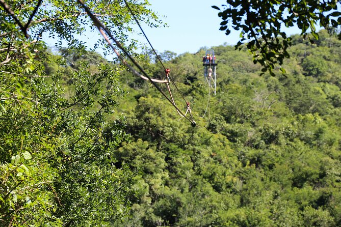 Aerial Cable Trail in Hazyview - Customer Reviews and Ratings