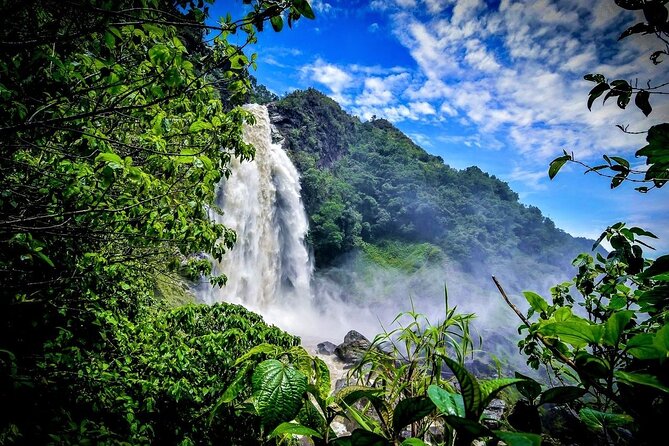 Aerial Hammocks, Great Zip Line and Waterfall Trek in Medellin - Second Zip Line Flight