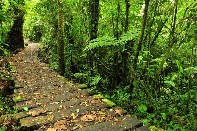 Aerial Tram in Braulio Carrillo National Park From San José - Key Points