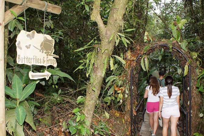 Aerial Tram in Braulio Carrillo National Park From San José - Spotting Orchids and Identifying Birdsong