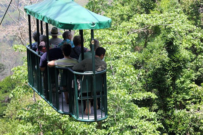 Aerial Tram Tour From Jaco - Key Points