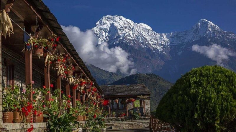 Affordable Adventure- 7 Days ABC Trek for Budget Explorers - Inclusions and Services