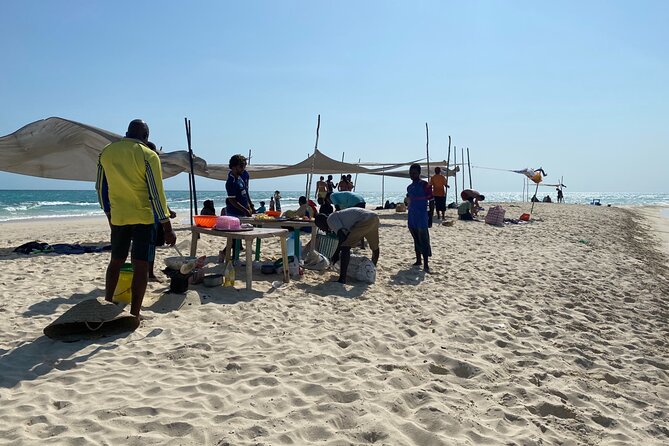 Affordable and Reliable Taxi Services in Zanzibar Island - Key Points