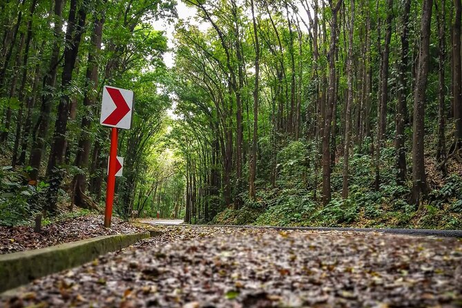 Affordable Bohol (Tarsier & Chocolate Hills Tour) - Tour Accessibility