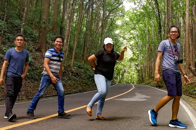 Affordable Bohol (Tarsier & Chocolate Hills Tour) - Chocolate Hills