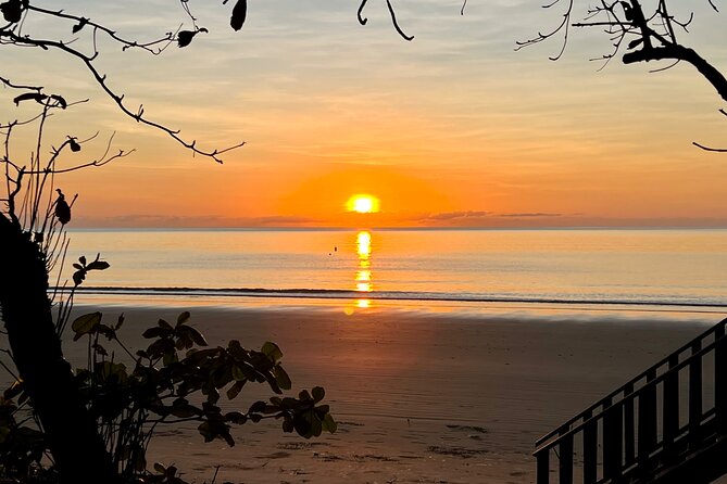 Affordable Private Transfer From Cairns Airport to Port Douglas - Key Points