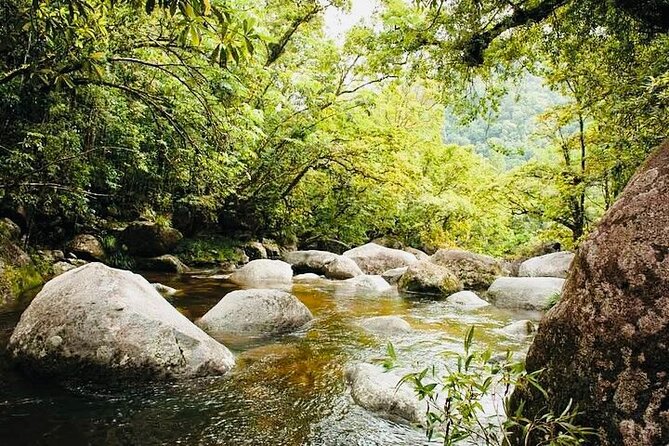 Affordable Return Mossman Gorge From Port Douglas Transfers - Booking Information