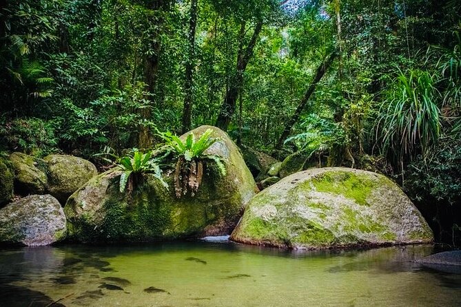 Affordable Return Mossman Gorge From Port Douglas Transfers - Pickup and Drop-off