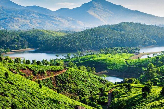 Affordable Transfer From Kochi to Munnar - Accessibility and Participation