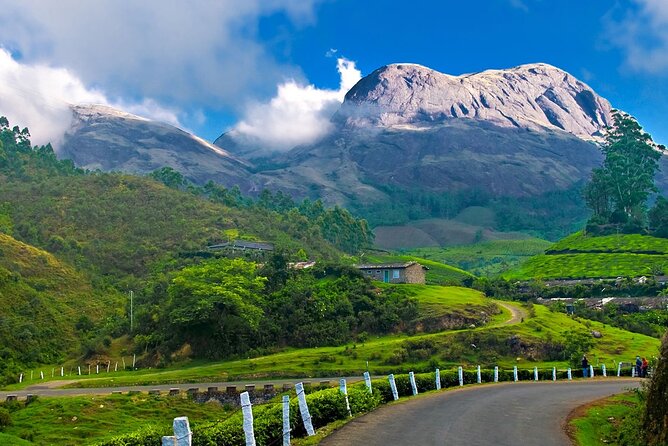 Affordable Transfer From Kochi to Munnar - Customer Reviews