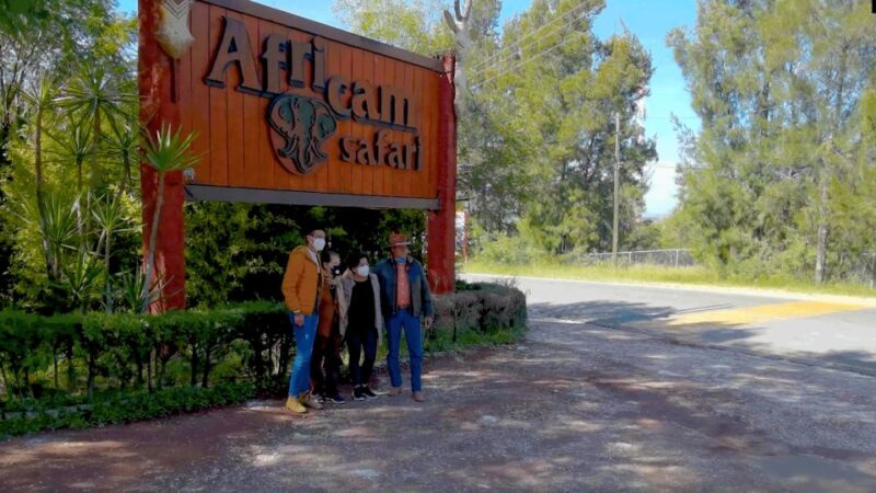 Africam Safari Conservation Park - Tour Experiences