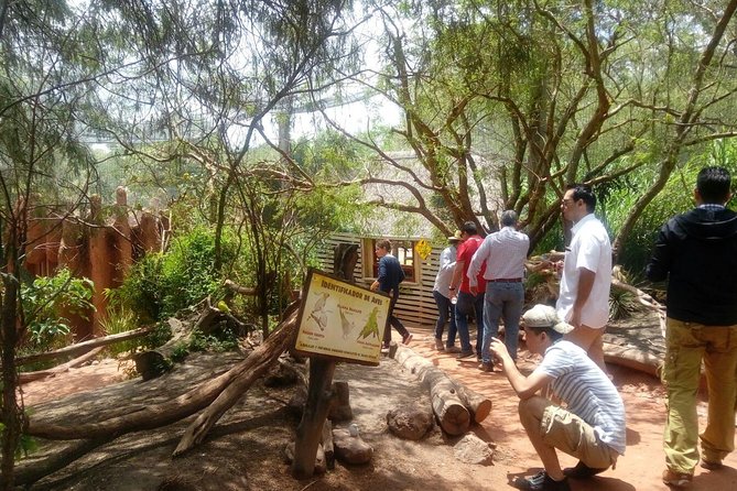 Africam Safari Zoo Admission With Transportation - Pickup and Meeting Location
