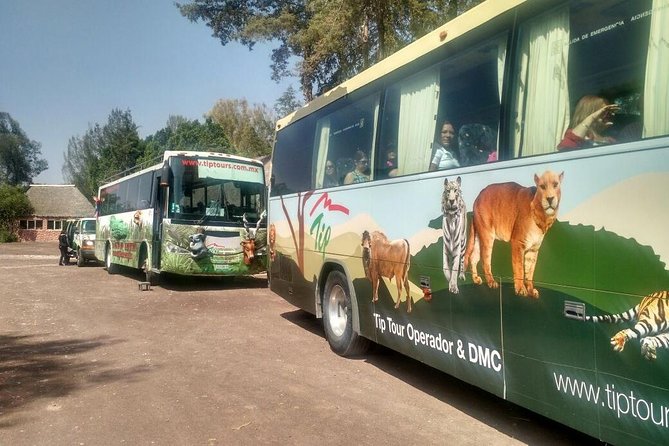 Africam Safari Zoo Admission With Transportation - Accessibility and Accommodation
