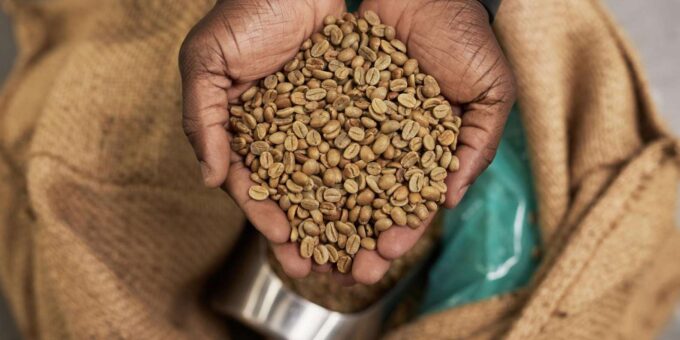 African Origin Coffee and Chocolate Walking Tour - Sustainable Farming Techniques